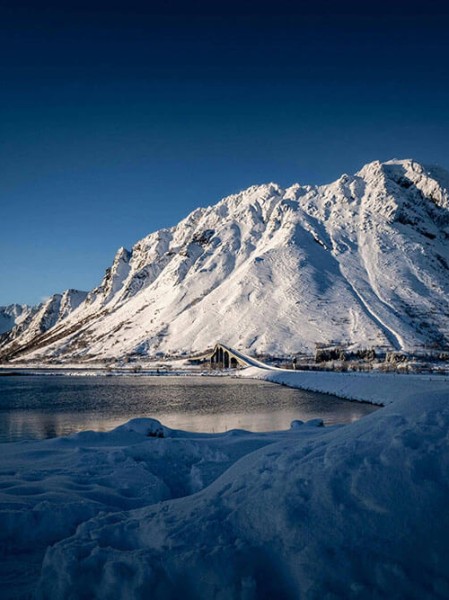 《艾尔登法环》DLC“黄金树之影”上线日期公布